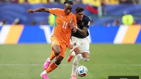 光纤对决：汇众光纤与泰拉菲尔马性能对比解析指南